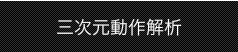 三次元動作解析